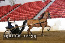19BUCK_01139 proof
