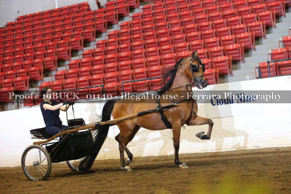 Proof 19BUCK_01140