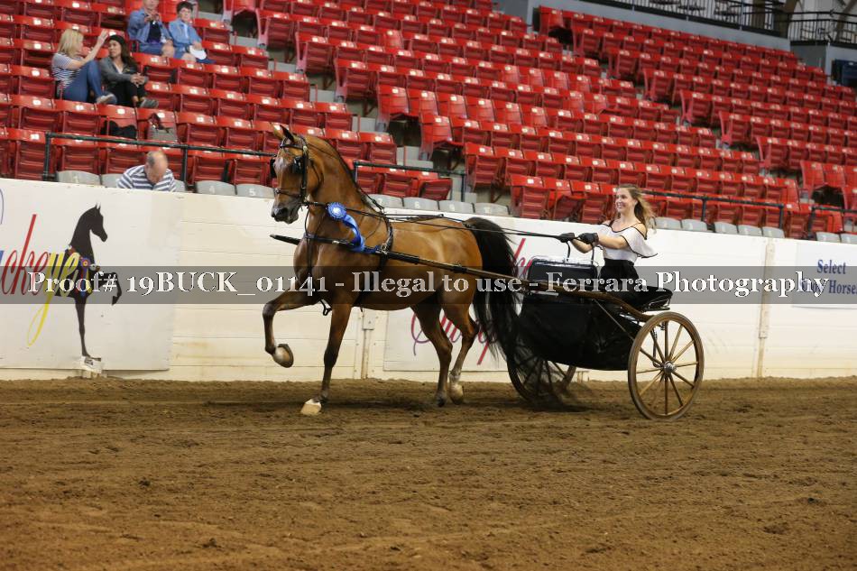 Proof 19BUCK_01141