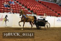 19BUCK_01141 proof