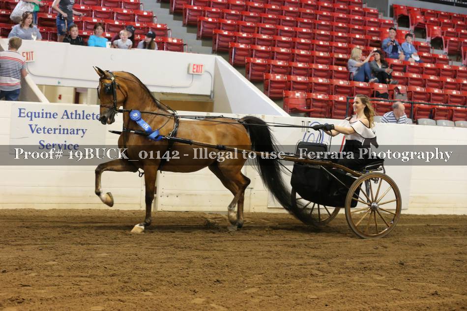 Proof 19BUCK_01142