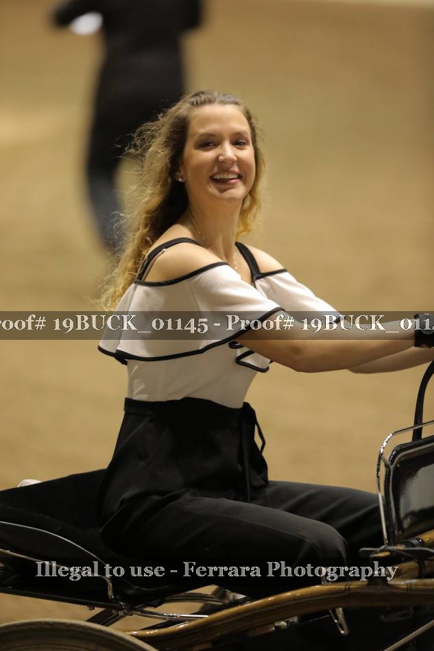 Proof 19BUCK_01145