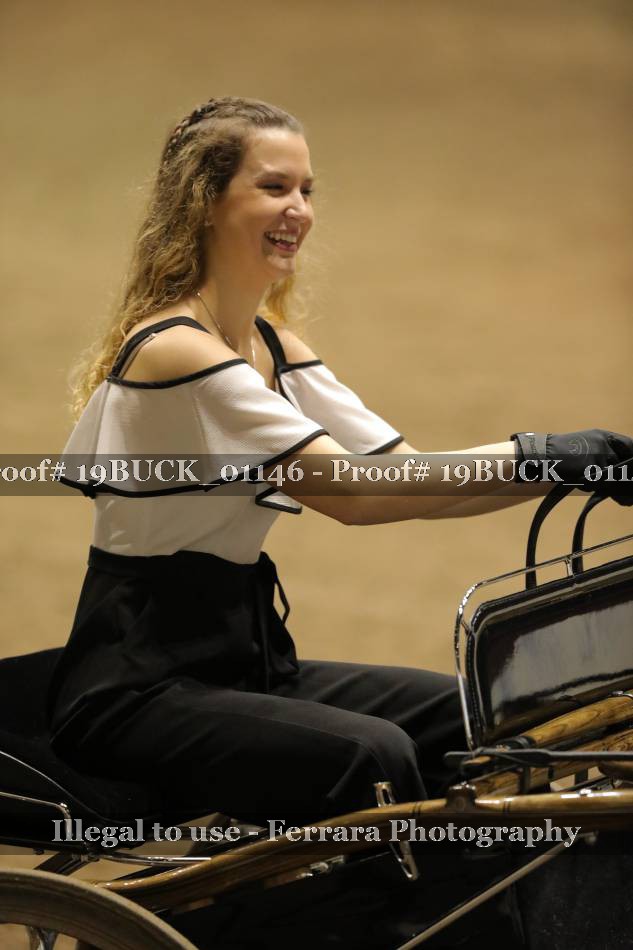 Proof 19BUCK_01146