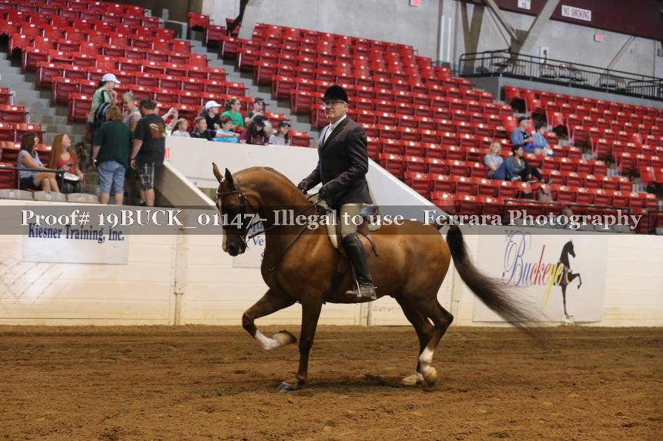 Proof 19BUCK_01147