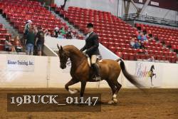19BUCK_01147 proof