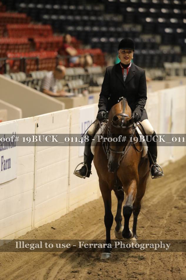 Proof 19BUCK_01148