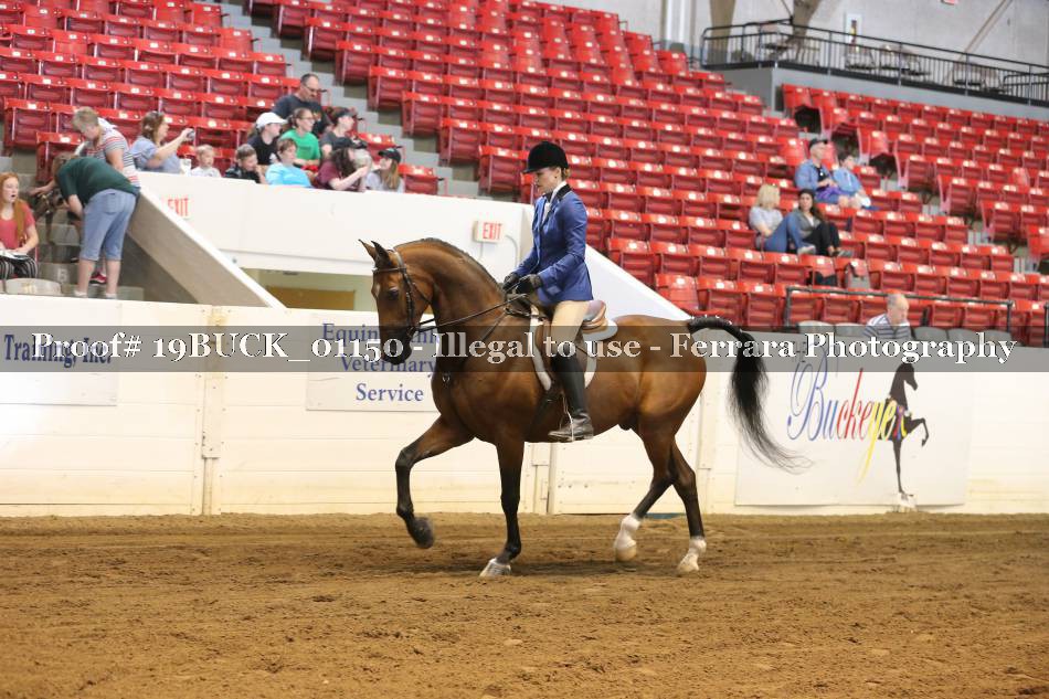 Proof 19BUCK_01150