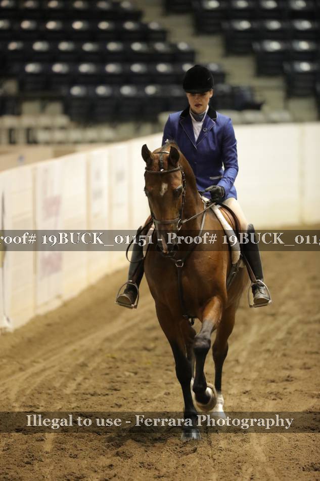 Proof 19BUCK_01151