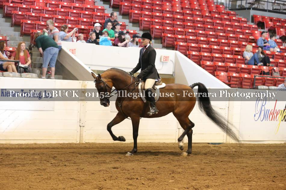 Proof 19BUCK_01152