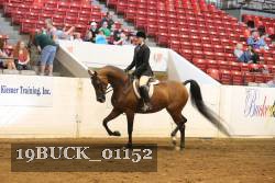 19BUCK_01152 proof