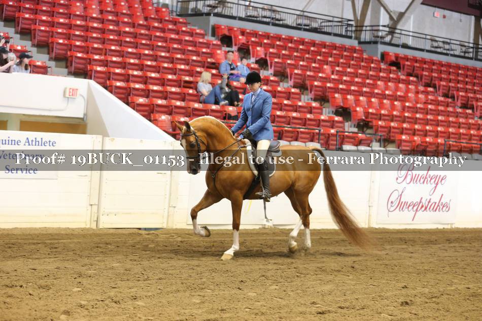 Proof 19BUCK_01153