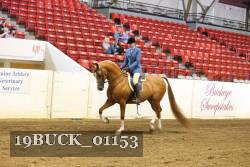 19BUCK_01153 proof
