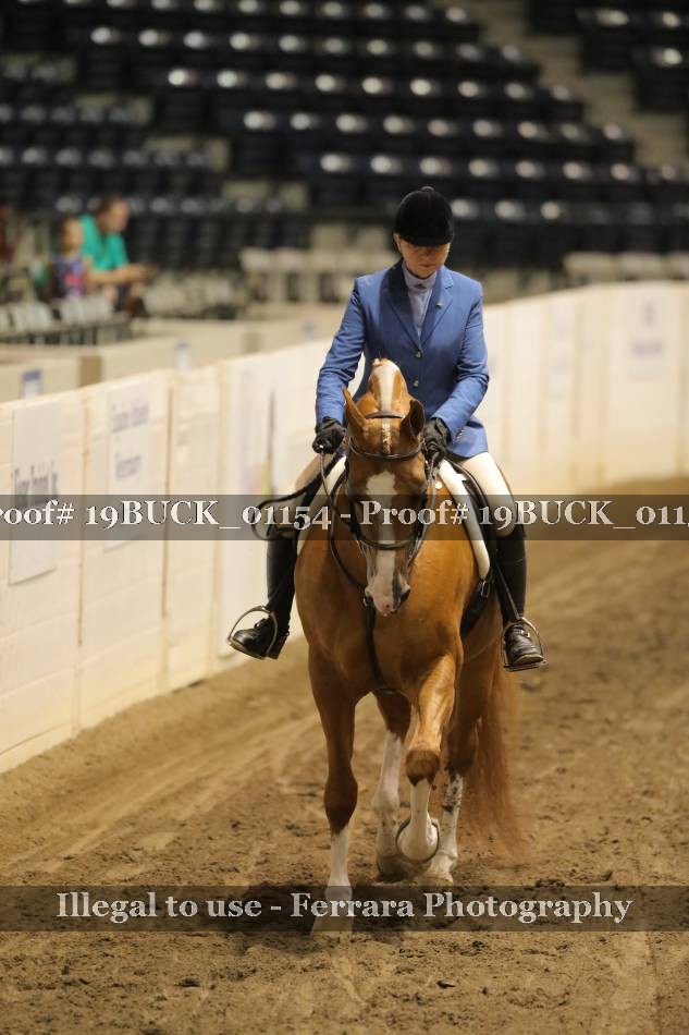 Proof 19BUCK_01154