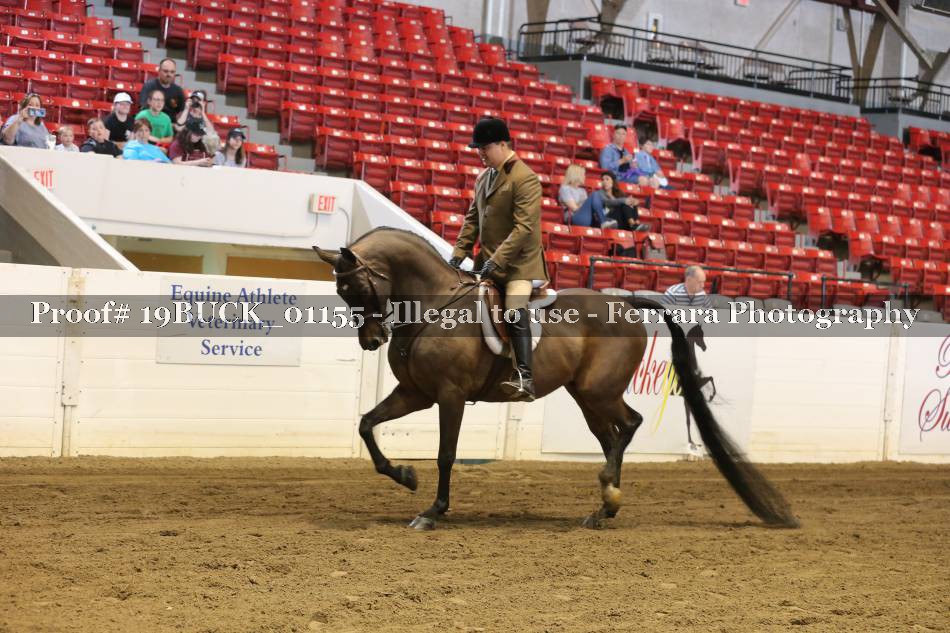 Proof 19BUCK_01155