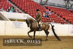 19BUCK_01155 proof