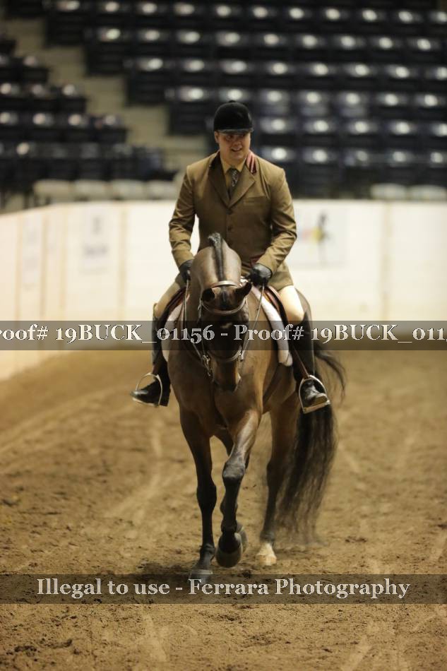 Proof 19BUCK_01156