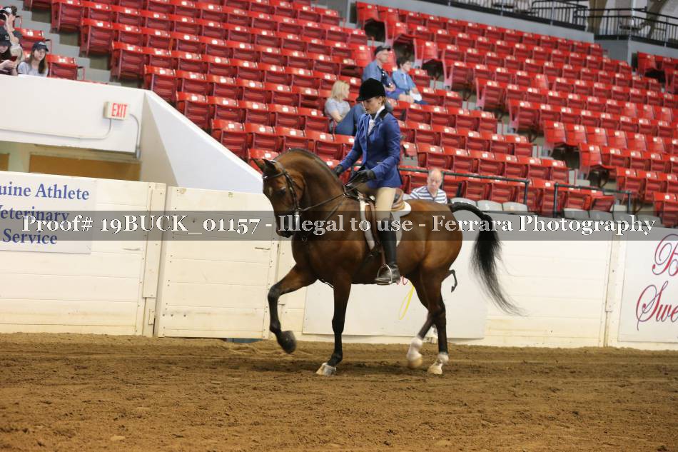Proof 19BUCK_01157
