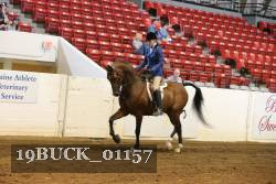 19BUCK_01157 proof
