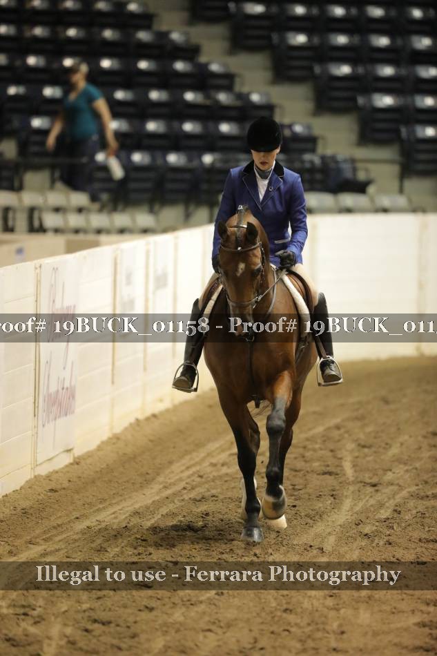 Proof 19BUCK_01158