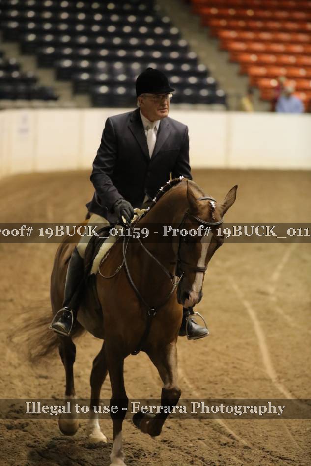 Proof 19BUCK_01159