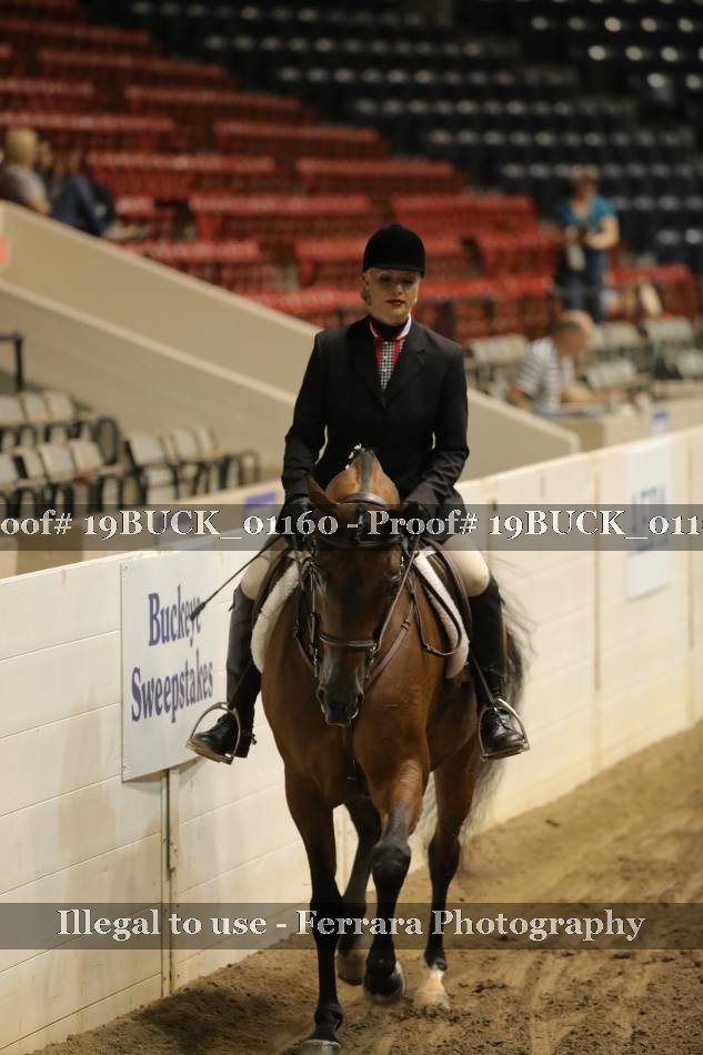 Proof 19BUCK_01160