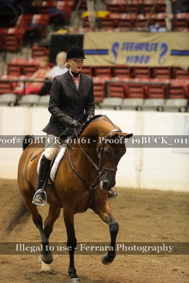 Proof 19BUCK_01161