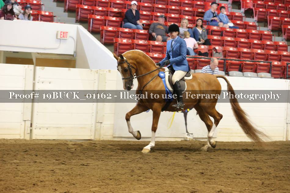 Proof 19BUCK_01162
