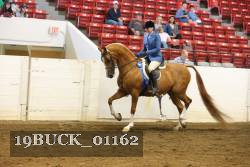19BUCK_01162 proof