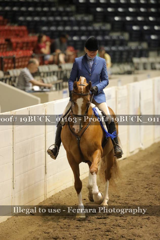 Proof 19BUCK_01163