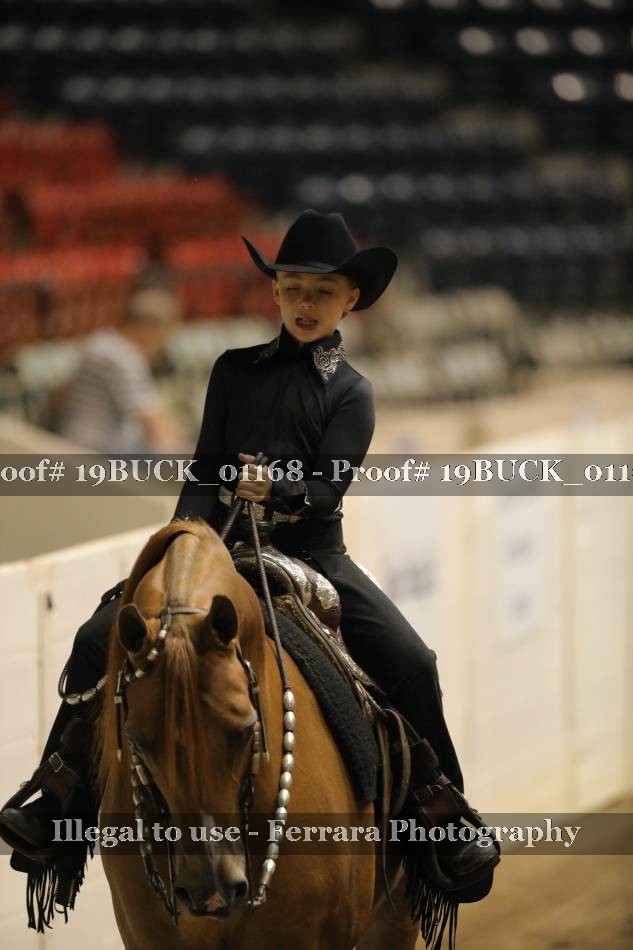 Proof 19BUCK_01168