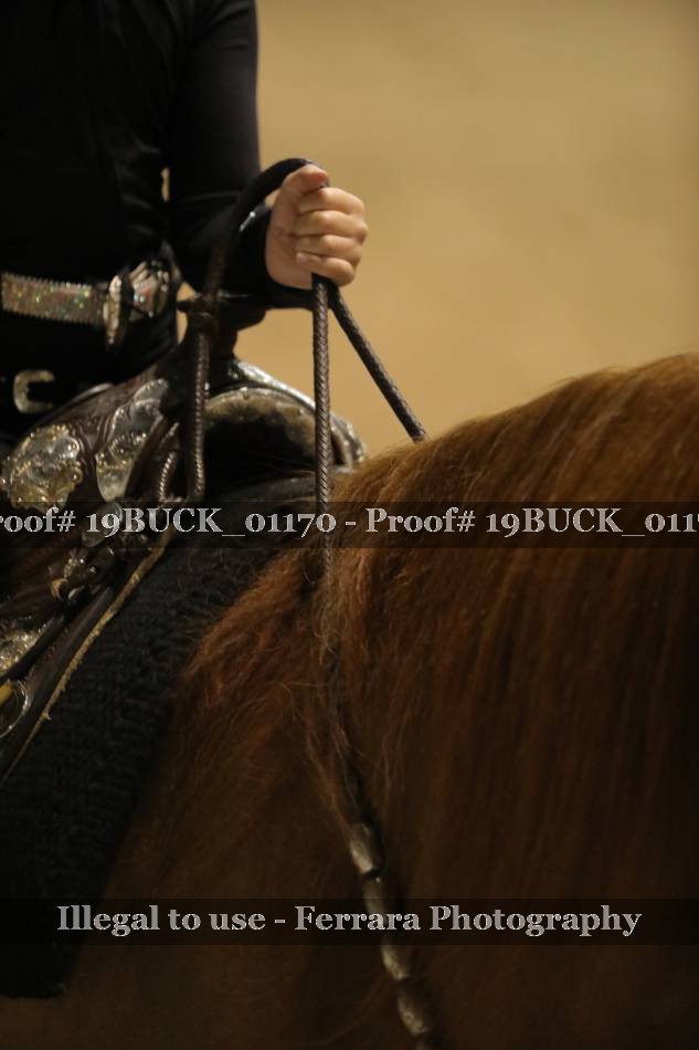 Proof 19BUCK_01170