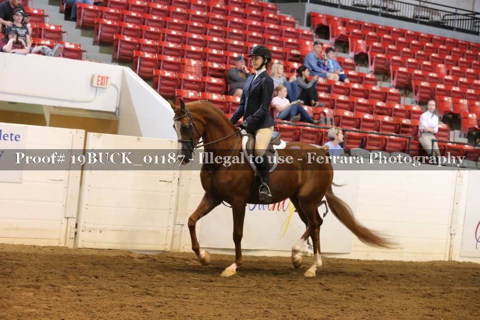 Proof 19BUCK_01187