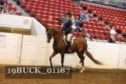 19BUCK_01187 proof