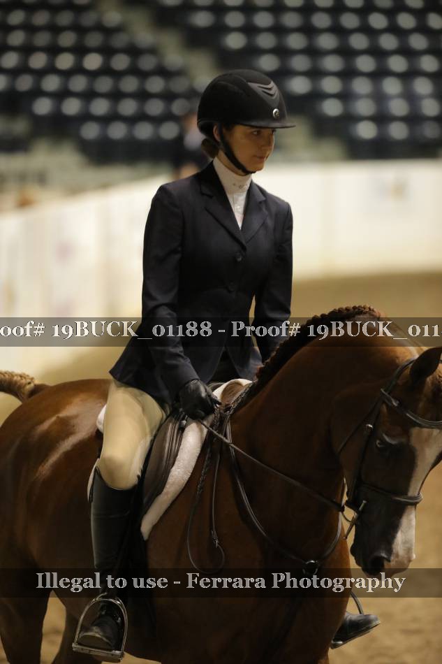 Proof 19BUCK_01188