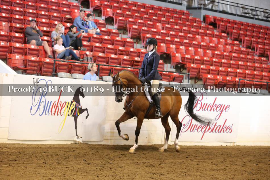 Proof 19BUCK_01189