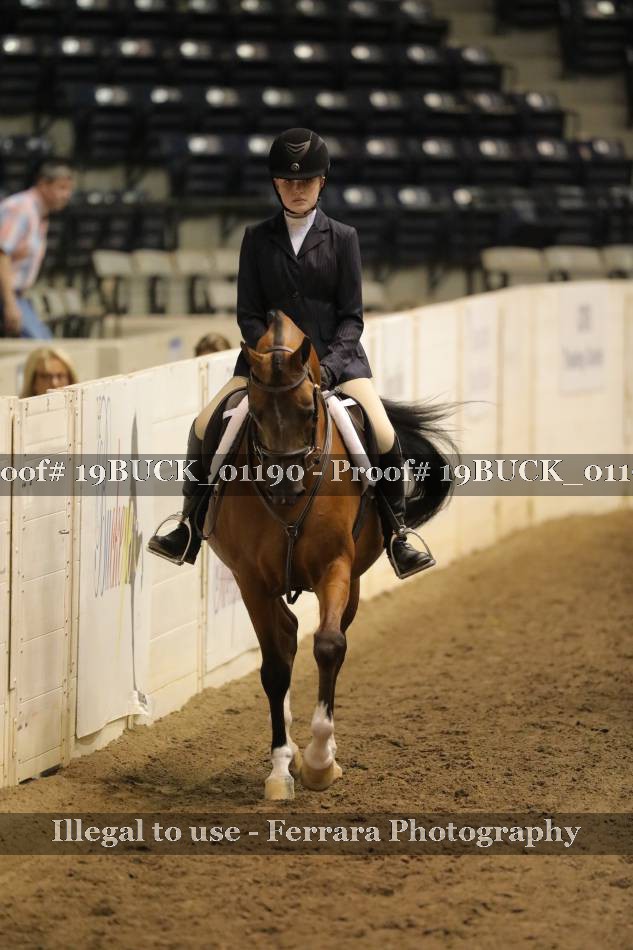 Proof 19BUCK_01190