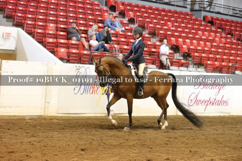 Proof 19BUCK_01191