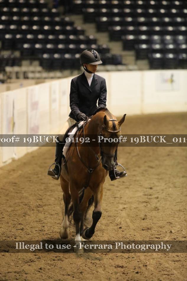 Proof 19BUCK_01192