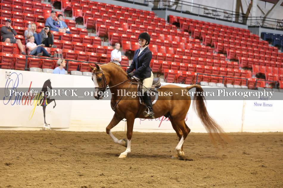 Proof 19BUCK_01193