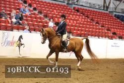 19BUCK_01193 proof
