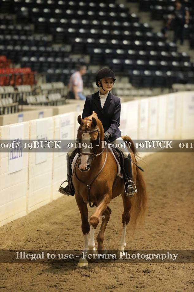 Proof 19BUCK_01194