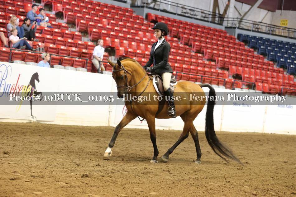 Proof 19BUCK_01195
