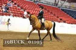 19BUCK_01195 proof