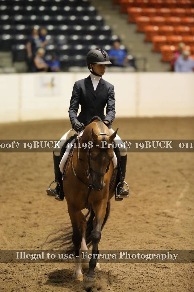 Proof 19BUCK_01198