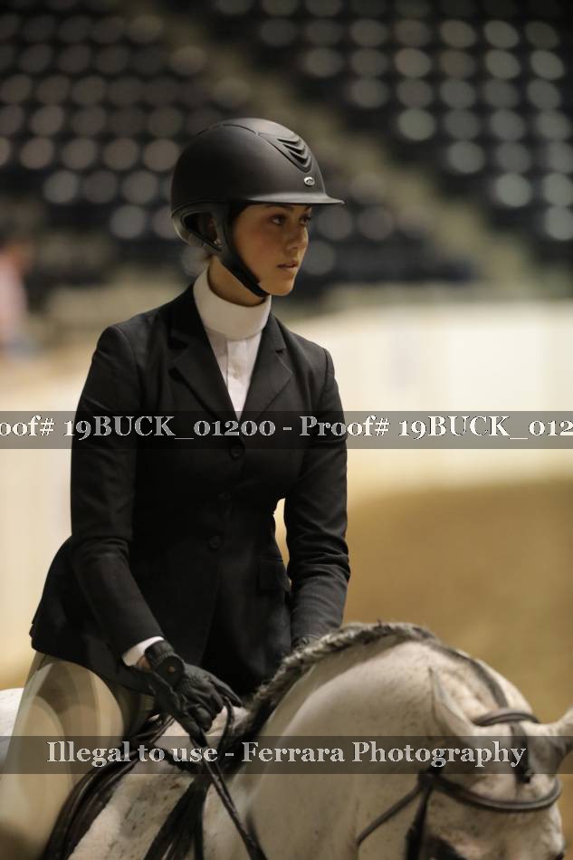 Proof 19BUCK_01200