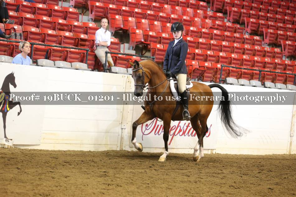 Proof 19BUCK_01201