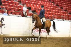 19BUCK_01201 proof