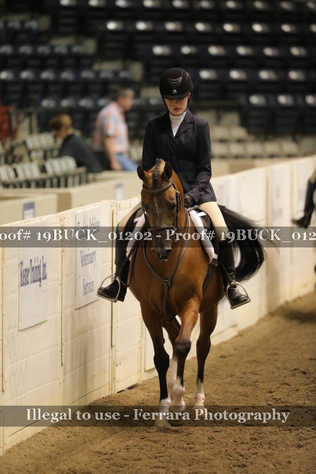 Proof 19BUCK_01202
