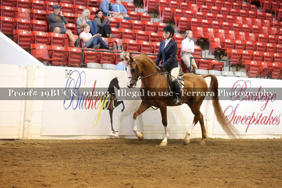 Proof 19BUCK_01203