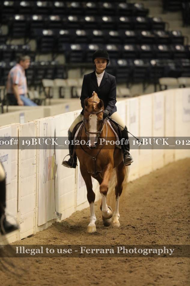 Proof 19BUCK_01204